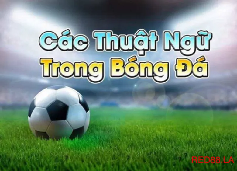 Thuật ngữ phổ biến trong cá cược bóng đá tại Red88