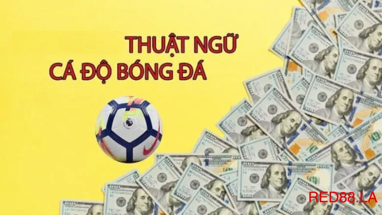 Thuật ngữ tiếng Anh cũng vô cùng quan trọng