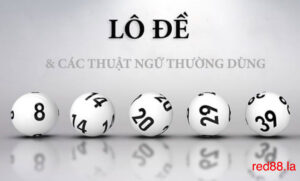 Những lưu ý khi sử dụng thuật ngữ lô đề