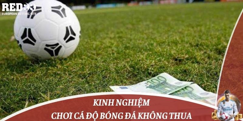 kinh nghiệm chơi cá độ bóng đá không thua