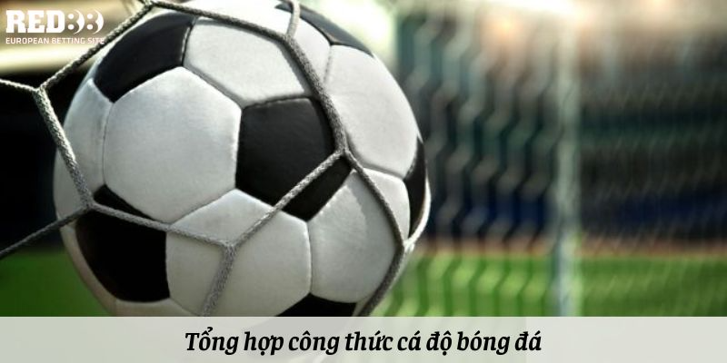 Tổng hợp công thức cá độ bóng đá