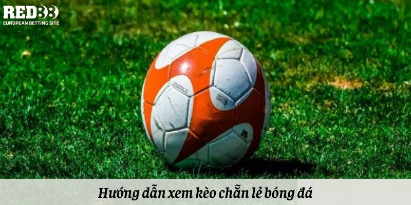 Hướng dẫn xem kèo chẵn lẻ bóng đá 