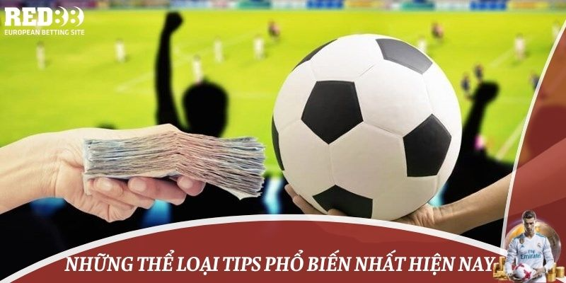 Những thể loại tips phổ biến nhất hiện nay