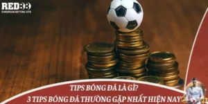 Tips Bóng Đá Là Gì? 3 Tips Bóng Đá Thường Gặp Nhất Hiện Nay