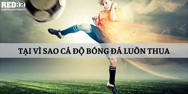 lý giải vì sao cá độ bóng đá luôn thua