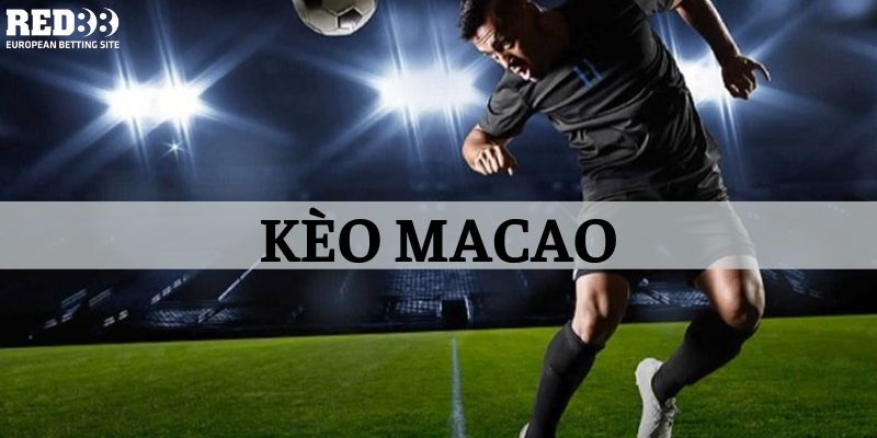 Tỷ Lệ Kèo Macao Là Gì? Cách Bắt Kèo Macao Luôn Thắng