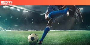 Bật Mí 4 Cách Xem Odds Và Fix Của Nhà Cái Chuẩn